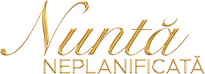 La wedding planner — Logos 3