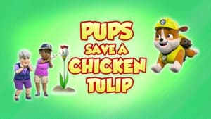 PAW Patrol Pups Save a Chicken Tulip