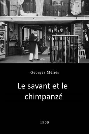 Image Le Savant et le Chimpanzé