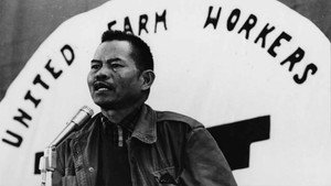 The Delano Manongs: Forgotten Heroes Of The United Farm Workers Movement (2014)