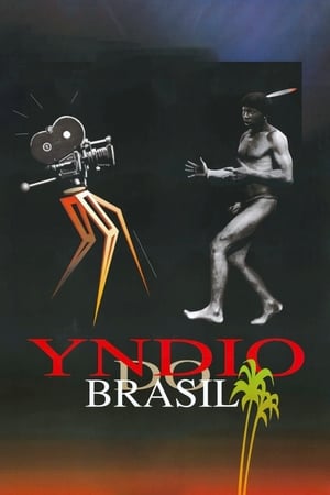 Poster Yndio do Brasil 1995