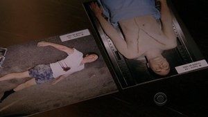 CSI: NY: Stagione 6 x Episodio 2