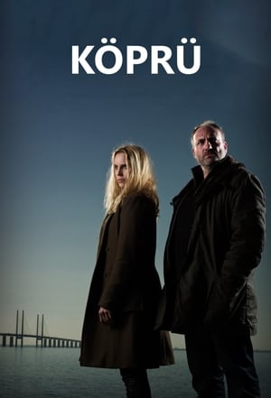 Poster Köprü Sezon 3 2015