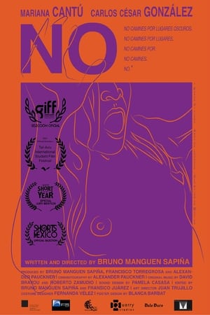 Poster No (2020)