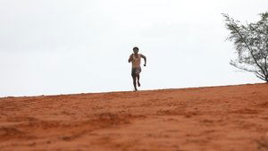 Bison: Kaalamaadan (2025) [Hindi + Tamil]