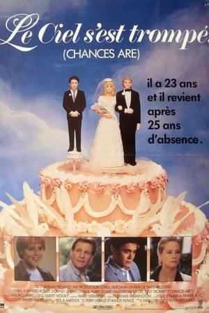 Poster Le ciel s'est trompé 1989