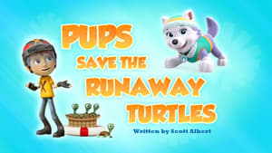 Pups Save the Runaway Turtles