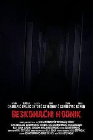 Poster Endless Corridor (2013)