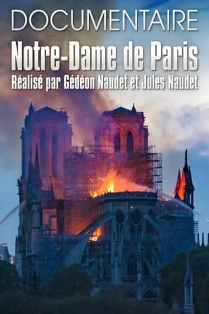 Poster Notre-Dame de Paris des Frères Naudet 2021