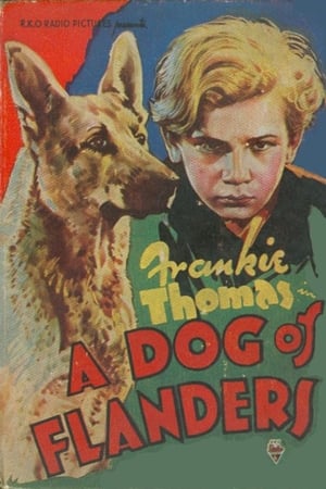 Poster A Dog of Flanders 1935