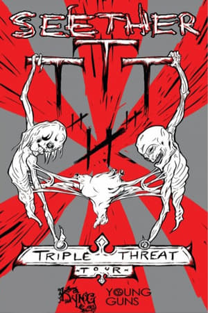 Image Seether: Tripple Threat Live