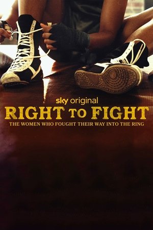 Poster Right to Fight (2023)