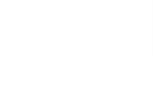 Aşk Hipotezi