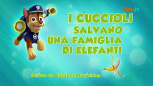 Paw Patrol 2×15