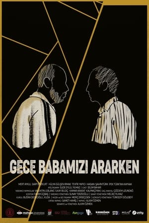 Image Gece Babamızı Ararken