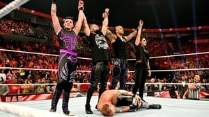 WWE Raw 30 x 37