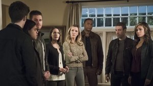 Arrow 4 – Episodio 8