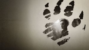 Werewolf by Night ( 2022 )