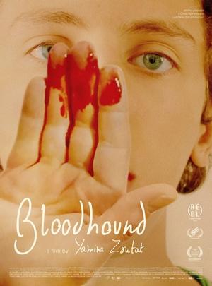 Poster Bloodhound (2024)