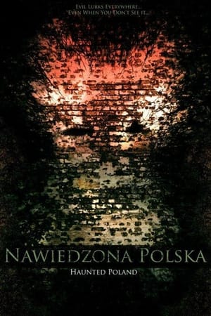 Poster Nawiedzona Polska 2011