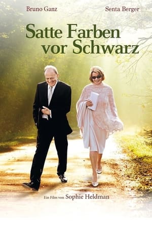 Poster Satte Farben vor Schwarz 2011