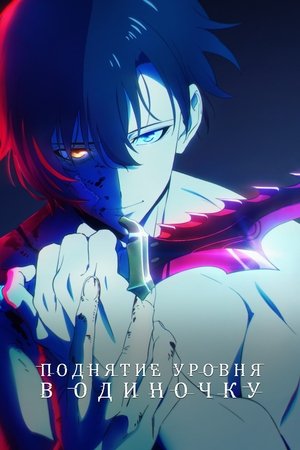 Image Solo Leveling: Поднятие уровня в одиночку