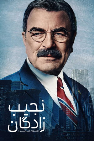 Blue Bloods 176