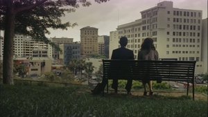 (500) Days of Summer ( 2009 )