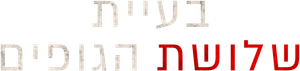 3 Body Problem — Logos 12