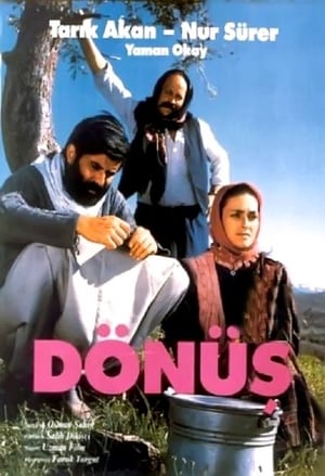 Dönüş poster