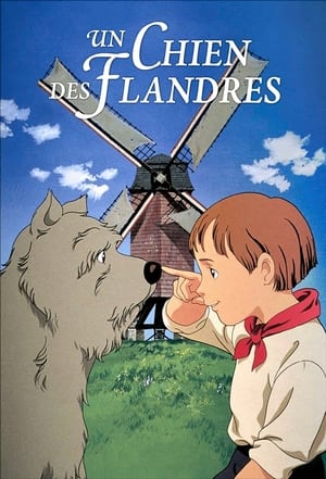 Image Un chien des Flandres