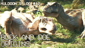 Buck and Doe Origins | StreamHub