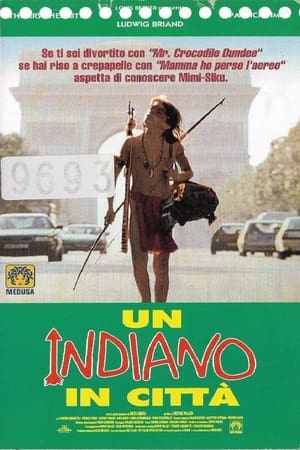 Poster Un indiano in città 1994