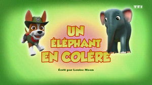 Paw Patrol Helfer auf vier Pfoten: 5×26
