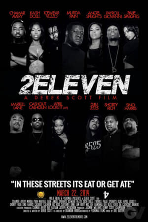 Poster 2eleven 2015