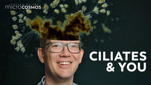 What These Microbes Teach Us About Free Will still
