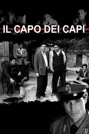 Poster Il capo dei capi 2007