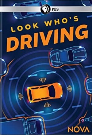 Poster Look Who's Driving 2019