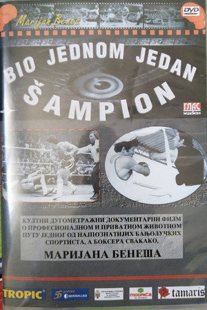 There Was Once a Champion 3