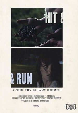 Poster Hit & Run (2016)