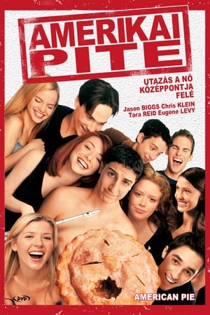 Poster Amerikai pite 1999