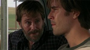 Heartland Temporada 2 Capitulo 8