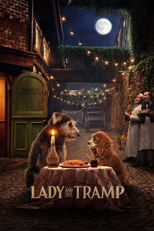 Poster Lady and the Tramp (2019)