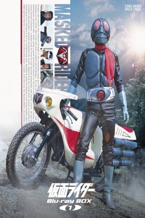 Kamen Rider Kamen Rider