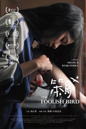 The Foolish Bird poster