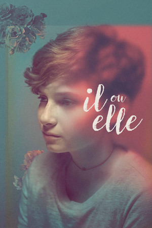 Il ou elle