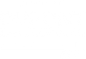 Dupont de Ligonnès, la série
