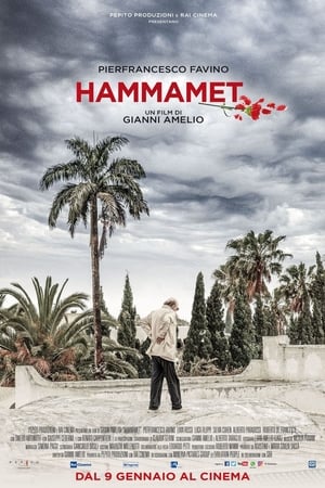Poster Хаммамет 2020