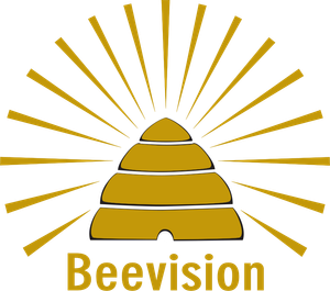 Logo Beevision