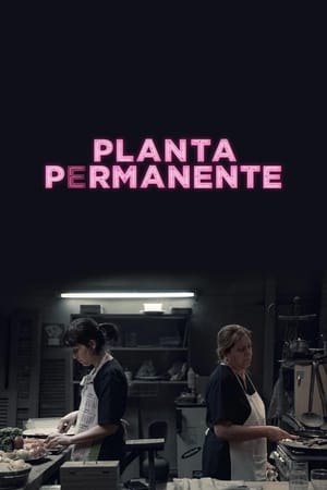 Image Planta permanente